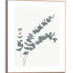 Wandbild 40 x 50 cm Eucalyptus