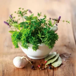 Wandbild 30 x 30 cm Herbs II