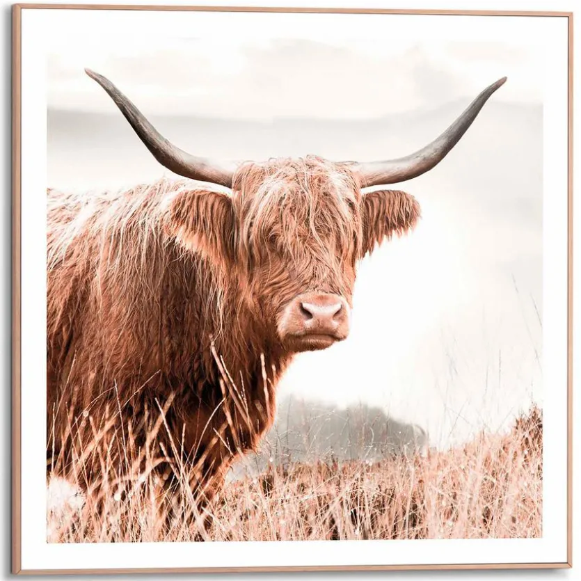 Wandbild 50 x 50 cm Highlander