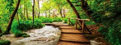 Wandbild 30 x 80 cm Footbridge in the forest