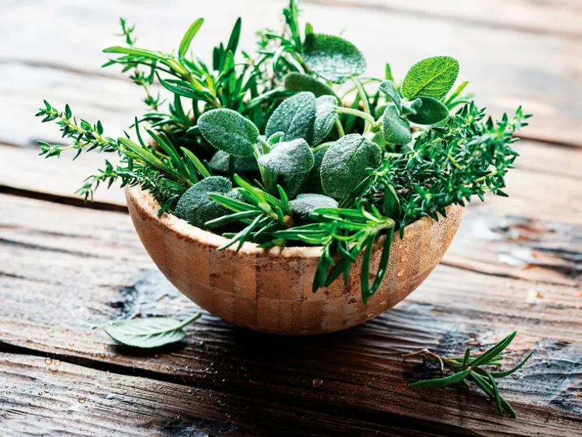 Wandbild 30 x 40 cm Fresh Herbs III