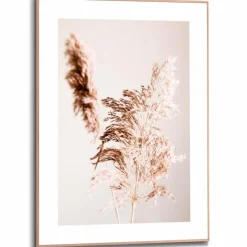 Wandbild 50 x 70 cm Pampasgras