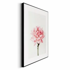 Wandbild 30 x 40 cm Pink Rose