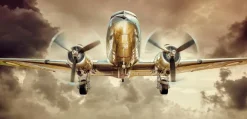 Wandbild 115 x 55 cm Plane VII