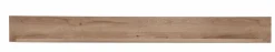 Wandboard Fun Plus II