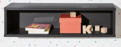 Wandbox Tomke
