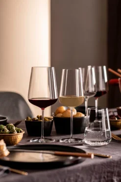 Wasserglas Vervino 490 ml