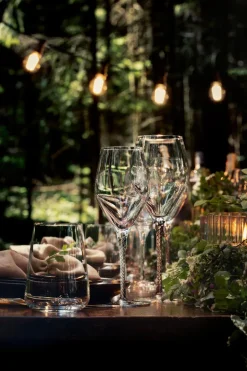 Wasserglas Vervino 490 ml