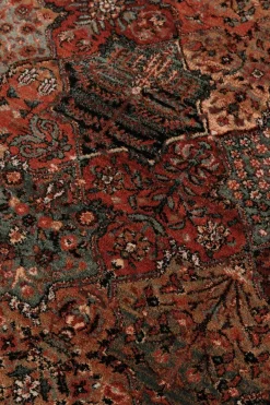 Webteppich Kashqai 240 x 340 cm