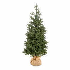 Weihnachtsbaum Zwergfichte 120 cm