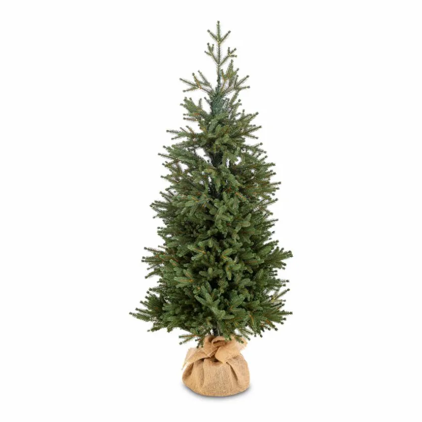 Weihnachtsbaum Zwergfichte 120 cm