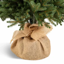 Weihnachtsbaum Zwergfichte 120 cm