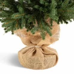 Weihnachtsbaum Zwergfichte 90 cm